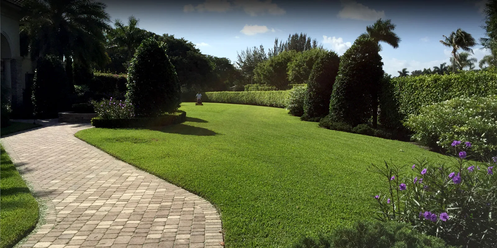Irrigation by Living Colour Landscapes