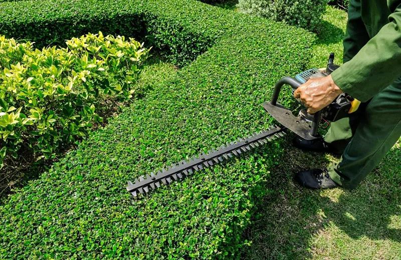 A private estate maintained by Living Colour Landscapes
